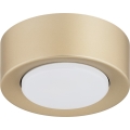 Argon 8903 - Stropní svítidlo ELORA 1xGX53/7W/230V pr. 11 cm zlatá