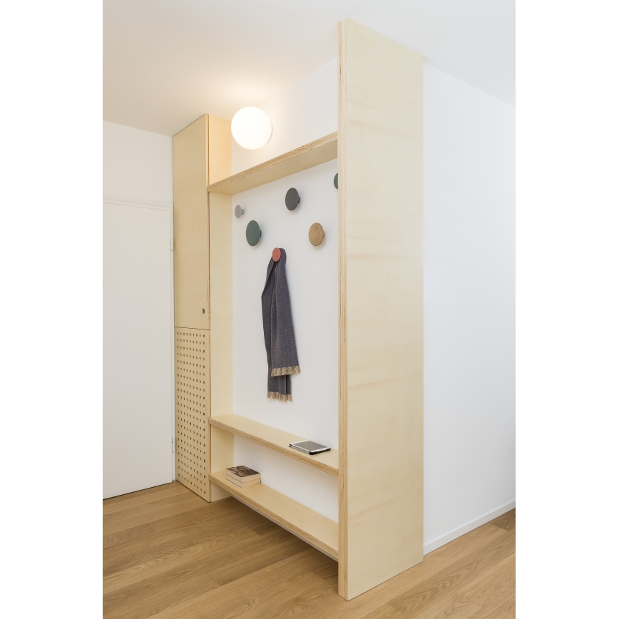 Artemide AR 1039110A - Koupelnové stropní svítidlo DIOSCURI 1xE14/6W/230V IP44
