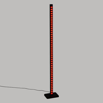 Atmosphera - LED RGB Stmívatelná stojací lampa BEE LED/230V + dálkové ovládání
