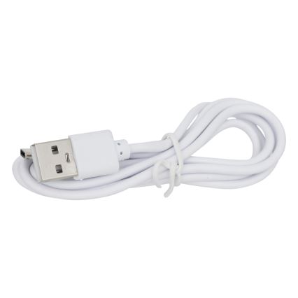 Atmosphera - LED Solární lampa KESY LED/1,2V IP44