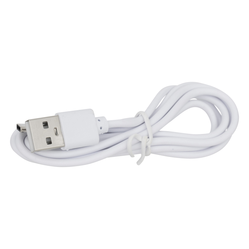 Atmosphera - LED Solární lampa KESY LED/1,2V IP44
