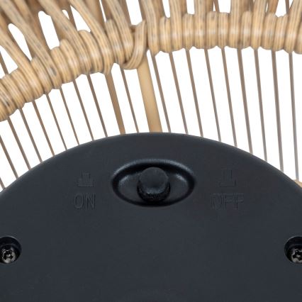 Atmosphera - LED Solární lampa LOISE LED/1,2V IP44