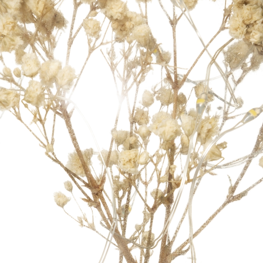 Atmosphera - LED Stolní lampa MICRO LED/2xAAA antracit