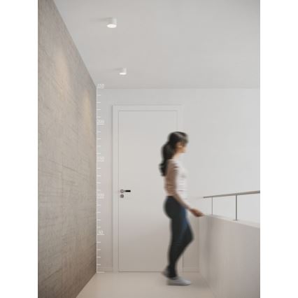 Azzardo AZ2252 - LED Stropní svítidlo MONZA LED/5W/230V