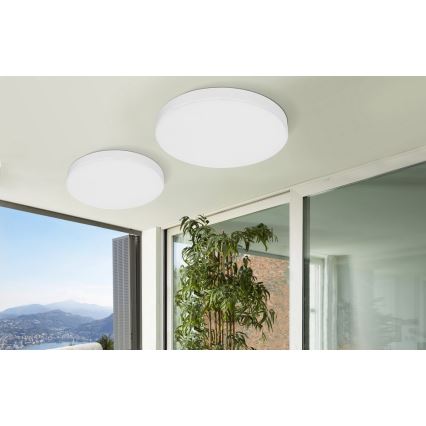 Azzardo AZ2264 - LED Stropní svítidlo MONZA 1xLED/50W/230V