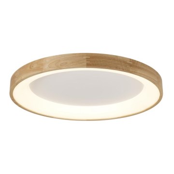 Azzardo AZ2698 - LED Stropní svítidlo SILVAM LED/50W/230V