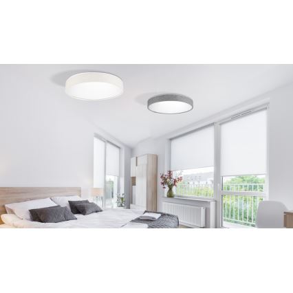 Azzardo AZ2716 - LED Stmívatelné stropní svítidlo COLLODI 1xLED/50W/230V + dálkové ovládání