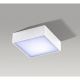 Azzardo AZ2780 - LED Stropní svítidlo FALCO LED/12W/230V