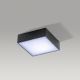Azzardo AZ2782 - LED Stropní svítidlo FALCO LED/12W/230V