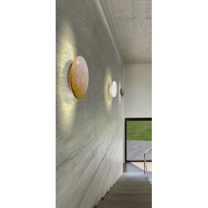 Azzardo AZ2853 - LED Venkovní stropní svítidlo ANCONA 1xLED/24W/230V IP54