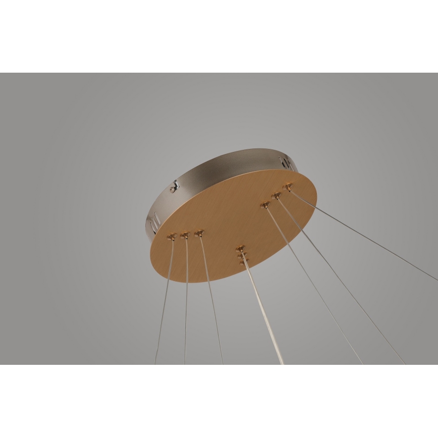 Azzardo AZ4429 - LED Lustr na lanku BRIGHTON LED/55W/230V zlatá