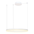 Azzardo AZ4959 - LED Stmívatelný lustr na lanku HALO LED/56W/230V pr. 80 cm bílá