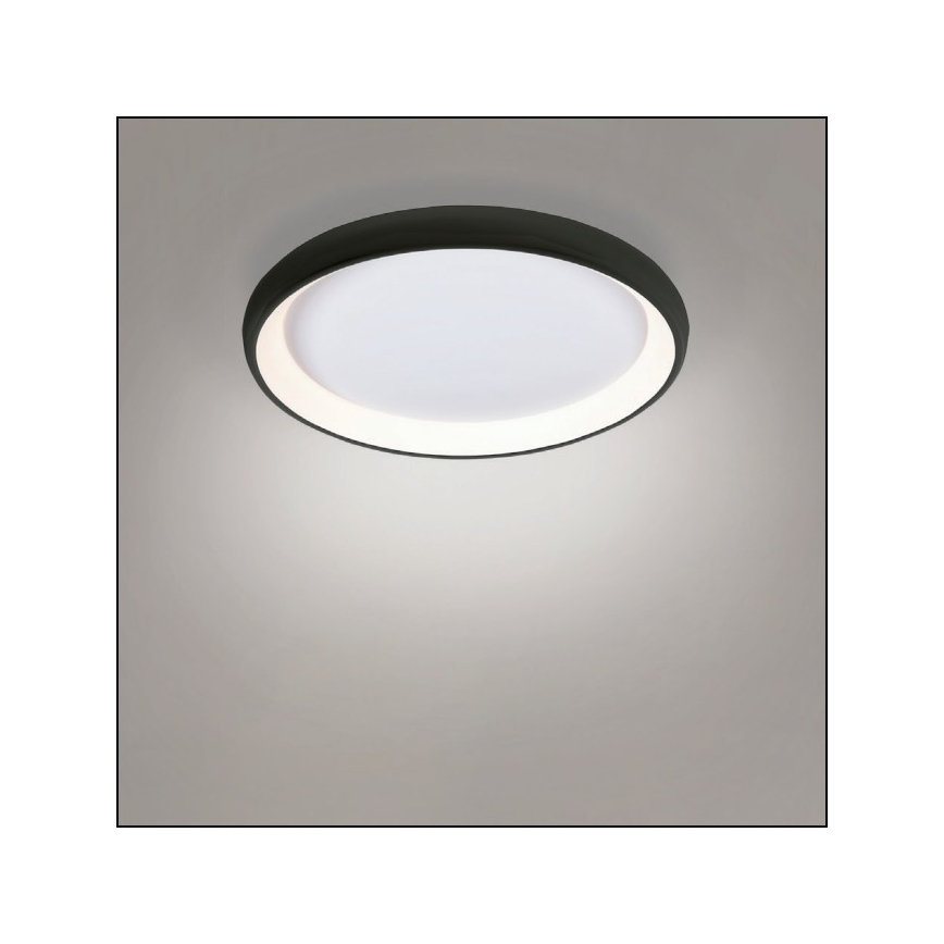 Azzardo AZ5072 - LED Stmívatelné stropní svítidlo ANTONIO LED/50W/230V černá + dálkové ovládání