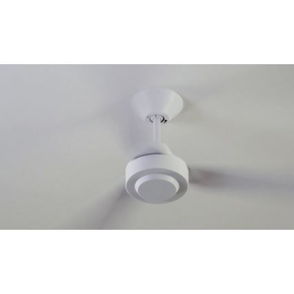 Lucci Air 213015 - Stropní ventilátor CALYPSO