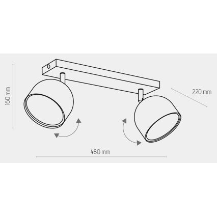 Bodové svítidlo ALTEA 2xAR111 GU10/50W/230V černá