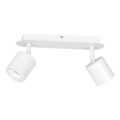 Bodové svítidlo DEMIA 2xGU10/8W/230V bílá