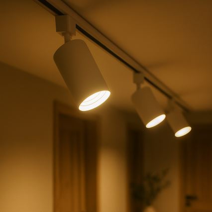 Bodové svítidlo do 1-fázového lištového systému TIGER 1xGU10/10W/230V bílá