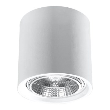 Bodové svítidlo KALU 1xGU10/ES111/40W/230V