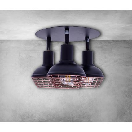Bodové svítidlo LOGAN 3xE14/40W/230V
