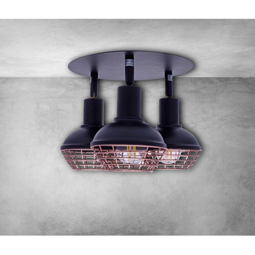 Bodové svítidlo LOGAN 3xE14/40W/230V