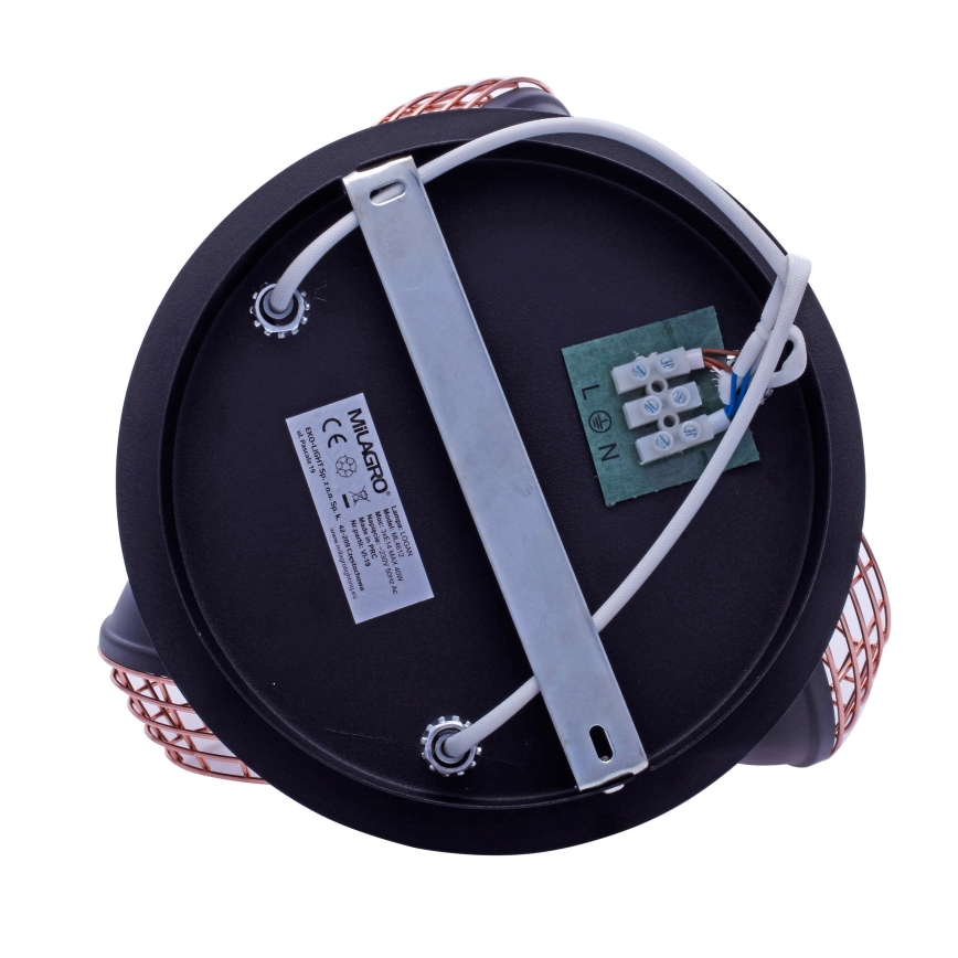 Bodové svítidlo LOGAN 3xE14/40W/230V