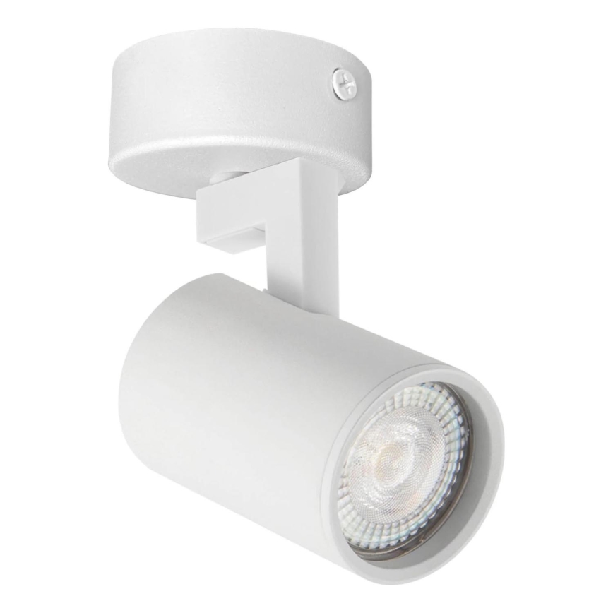 Bodové svítidlo LYNX 1xGU10/10W/230V bílá