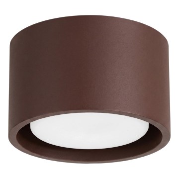 Bodové svítidlo MODO 1xGX53/10W/230V hnědá