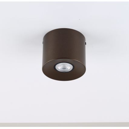 Bodové svítidlo ORION 1xGU10/10W/230V 9 cm hnědá