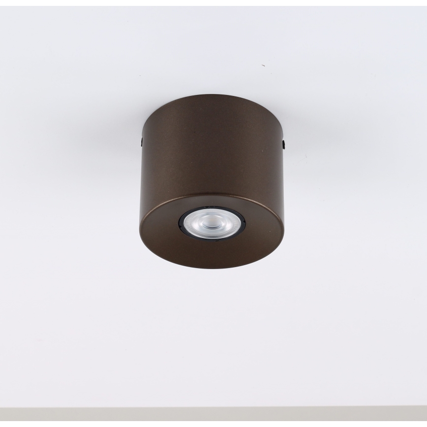 Bodové svítidlo ORION 1xGU10/10W/230V 9 cm hnědá