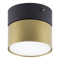 Bodové svítidlo SPACE GOLD 1xGX53/15W/230V