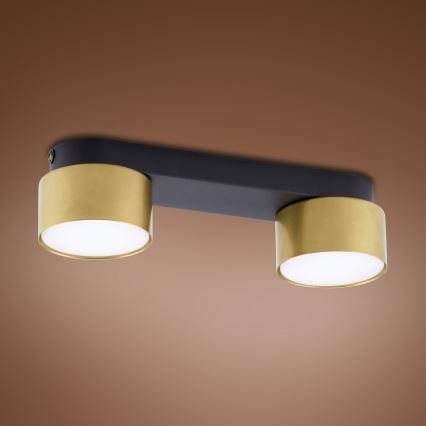 Bodové svítidlo SPACE GOLD 2xGX53/15W/230V