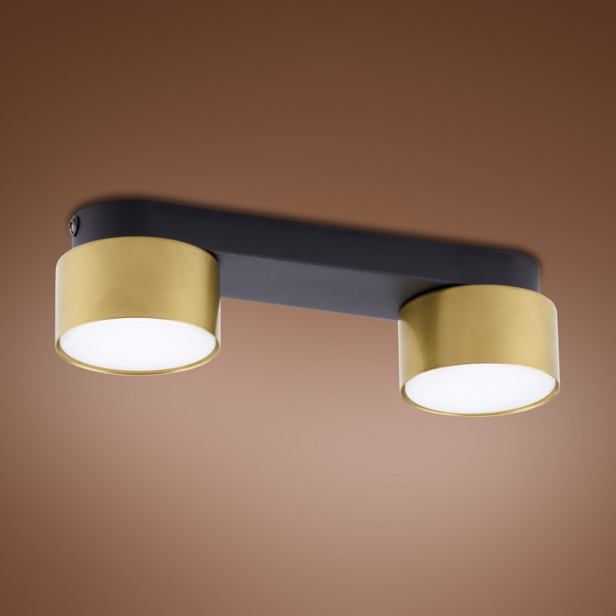 Bodové svítidlo SPACE GOLD 2xGX53/15W/230V