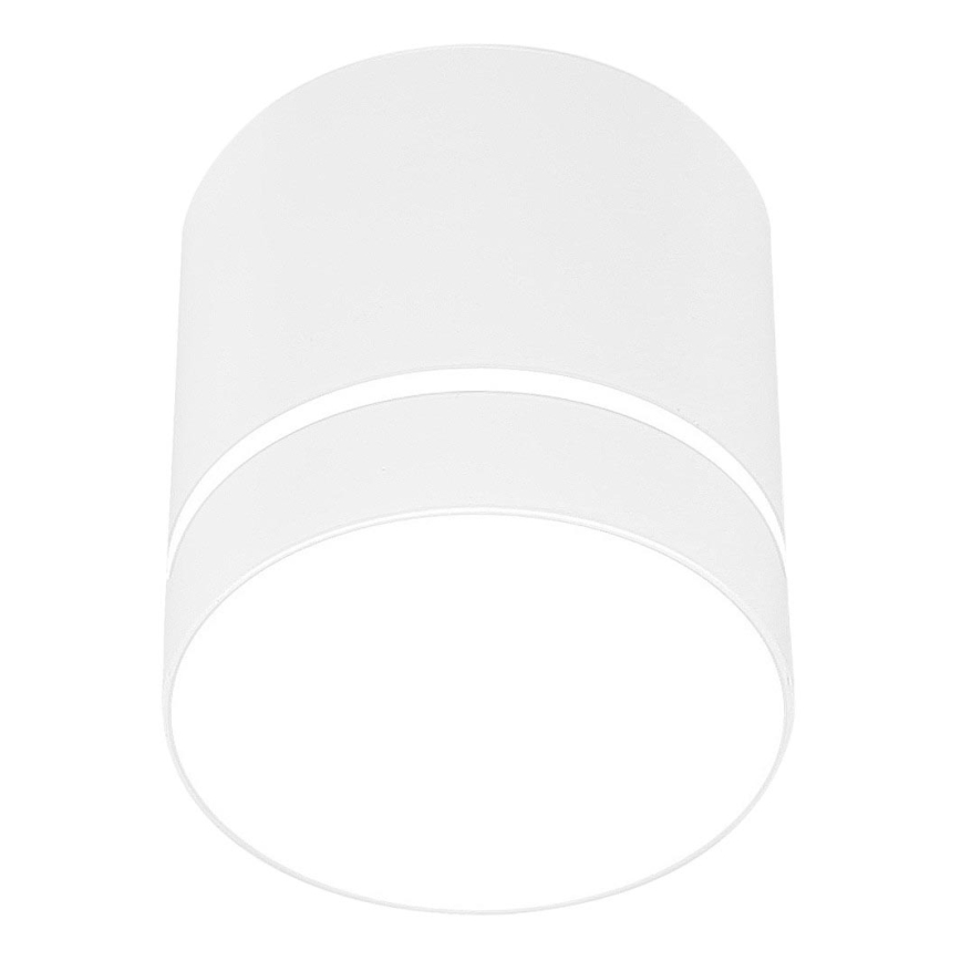 Bodové svítidlo TUBA 1xGU10/15W/230V bílá