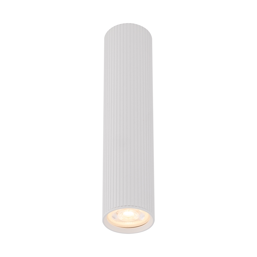 Bodové svítidlo TUNE L 1xGU10/10W/230V 24 cm bílá