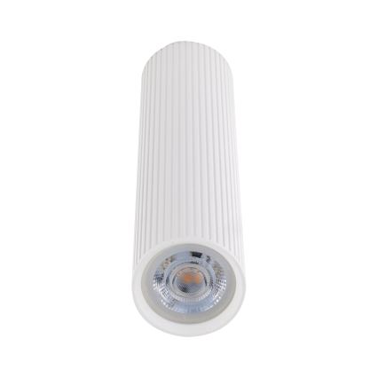 Bodové svítidlo TUNE L 1xGU10/10W/230V 24 cm bílá