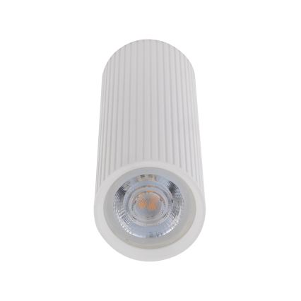 Bodové svítidlo TUNE M 1xGU10/10W/230V 17 cm bílá