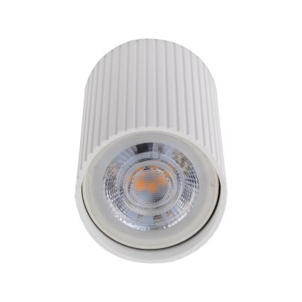 Bodové svítidlo TUNE S 1xGU10/10W/230V 10 cm bílá