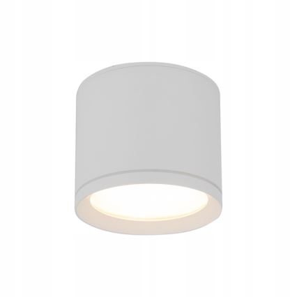 Bodové svítidlo VIVO 1xGX53/10W/230V 10 cm bílá