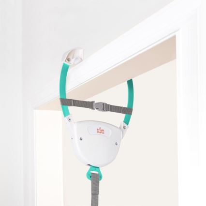 Bright Starts - Skákadlo do dveří PLAYFUL PARADE