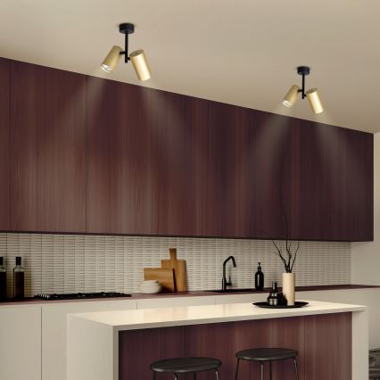Brilagi - Bodové svítidlo SELE VERTICAL 2xGU10/30W/230V černá/zlatá