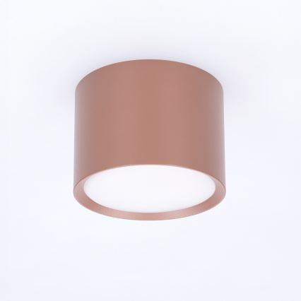 BRILAGI - Bodové svítidlo SMOOTH 1xGX53/15W/230V 60x82 mm hnědá