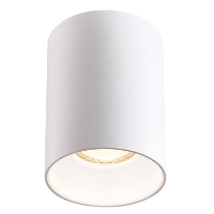 Brilagi - Bodové svítidlo TRINE 1xGU10/30W/230V bílá