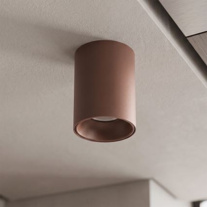 BRILAGI - Bodové svítidlo TRINE 1xGU10/30W/230V hnědá