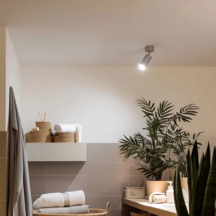 Brilagi - Koupelnové bodové svítidlo SELE 1xGU10/30W/230V IP44 stříbrná