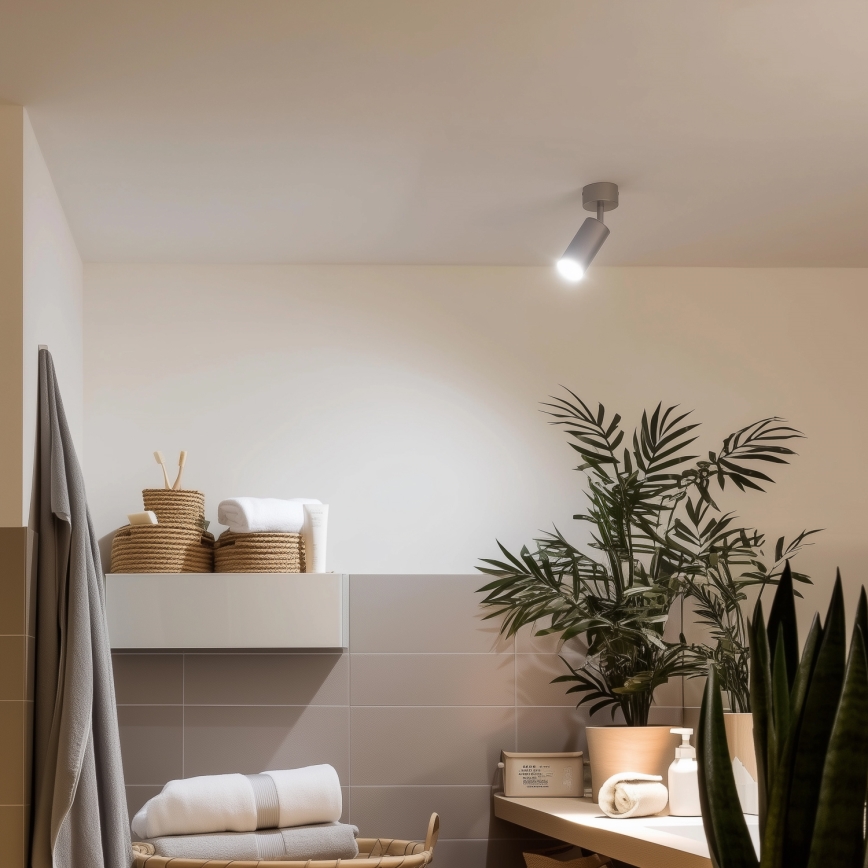 Brilagi - Koupelnové bodové svítidlo SELE 1xGU10/30W/230V IP44 stříbrná