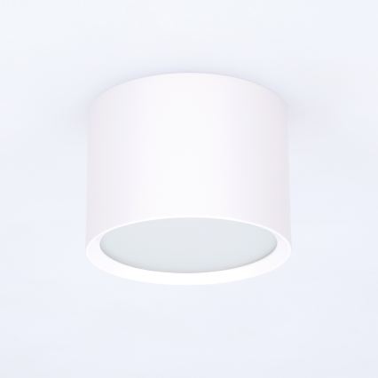 BRILAGI - Koupelnové bodové svítidlo SMOOTH 1xGX53/15W/230V 60x82 mm bílá IP54