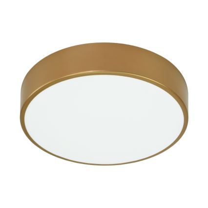 Brilagi - Koupelnové stropní svítidlo CLARE 3xE27/24W/230V pr. 40 cm IP54 zlatá