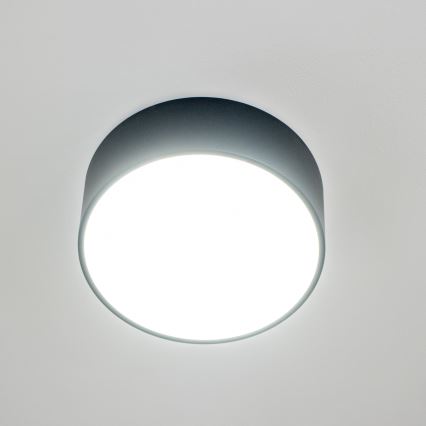 Brilagi - Koupelnové stropní svítidlo POOL 2xE27/15W/230V pr. 30 cm IP54 černá