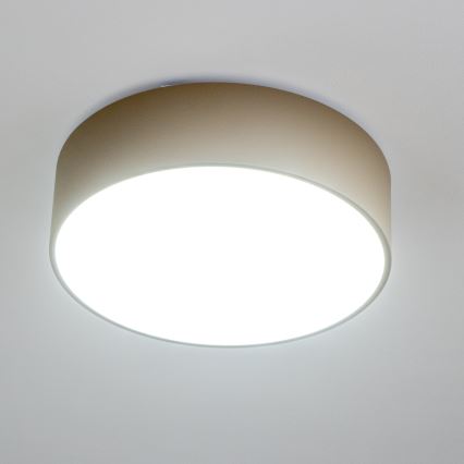 Brilagi - Koupelnové stropní svítidlo POOL 3xE27/15W/230V pr. 40 cm IP54 béžová