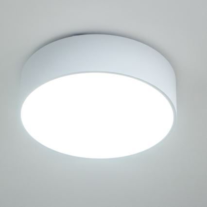 Brilagi - Koupelnové stropní svítidlo POOL 3xE27/15W/230V pr. 40 cm IP54 bílá